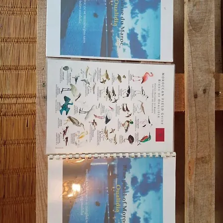 Dar Doukkala Oualidia公寓 外观 照片